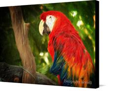 Canvas print of Guacamaya by the artist Designs by Jannelli