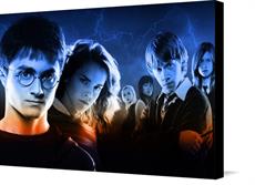 Canvas print of Harry Potter Group Poster Exclusive Edition Harry Potter Group Canvas by the artist Royal Printing