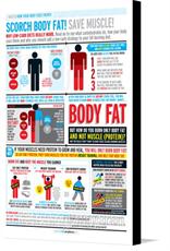 Canvas print of How Your Body Uses Energy by the artist FitnessInfographics