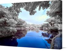 Canvas print of Infrared Small Lake in Japan by the artist sirg