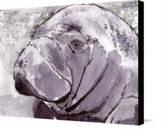 Canvas print of Manatee by the artist artbasik Michael Rados