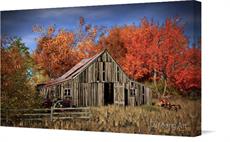 Canvas print of Old Barn In Autumn by the artist D Young Art