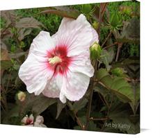 Canvas print of Pink Hibiscus (Kopper King or Rose Mallow variety) by the artist Art by Kathy