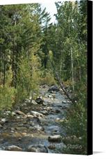 Canvas print of Rivers of Wyoming by the artist Nature Studio