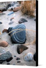 Canvas print of Stones in the sand by the artist Nature Studio