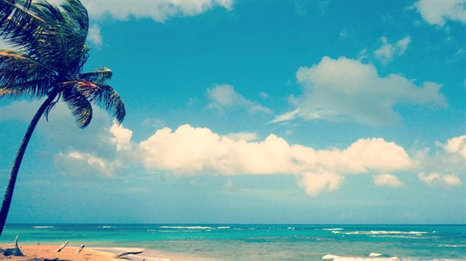 Blue-Beach-Photography---Turquoise-Ocean-Waves--Blue-Sky--and-a-Coconut-Palm---Beach-Wall-Art by Beach Bum Chix