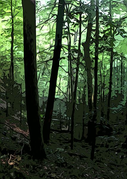 Digital-Painting-of-Forrest-Trees by Nature Studio