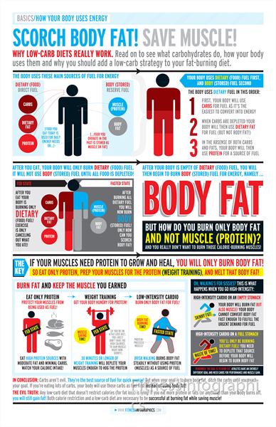 How-Your-Body-Uses-Energy by FitnessInfographics