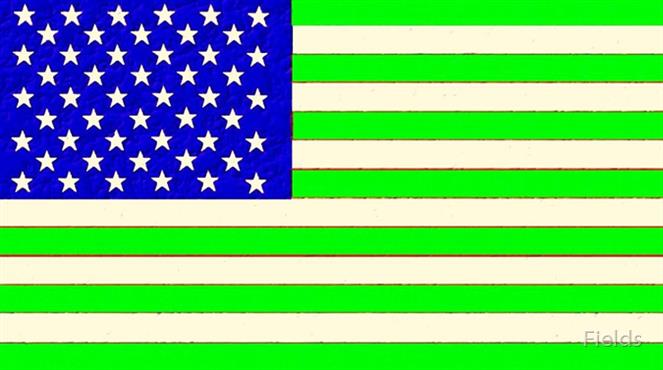 Irish-US by Fields