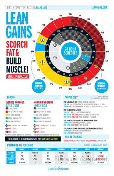 Leangains by FitnessInfographics