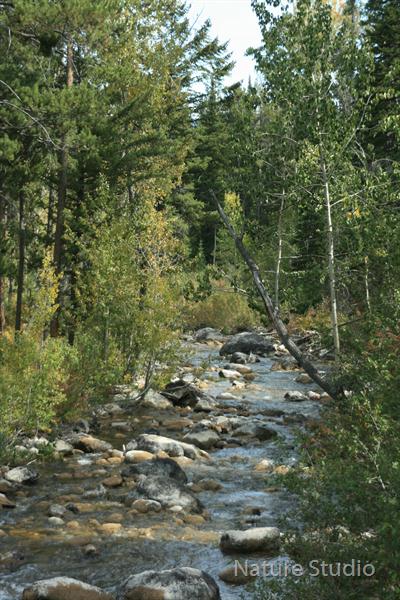 Rivers-of-Wyoming by Nature Studio