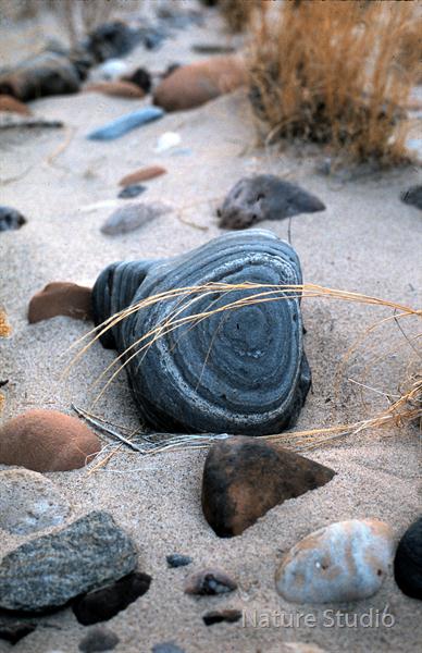 Stones-in-the-sand by Nature Studio