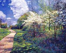 Poster print of Dogwood Trees in Bloom by the artist David Lloyd Glover Wall Art