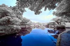 Poster print of Infrared Small Lake in Japan by the artist sirg