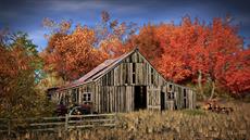 Poster print of Old Barn In Autumn by the artist D Young Art