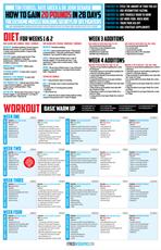 Poster print of Plans: How To Gain 20lbs in 28 days by the artist FitnessInfographics