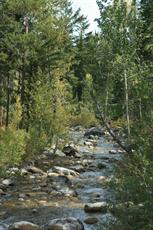 Poster print of Rivers of Wyoming by the artist Nature Studio