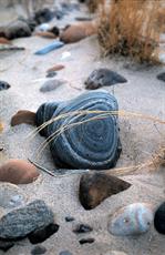 Poster print of Stones in the sand by the artist Nature Studio