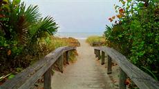 Poster print of Walkway To Paradise by the artist beachbummedia